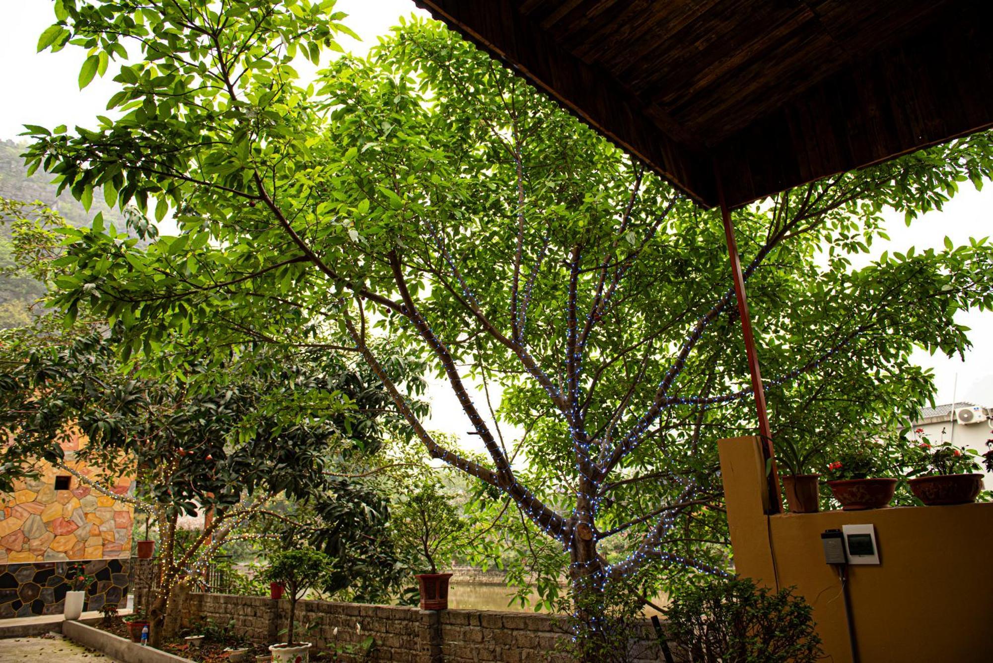 Hang Mua Peaceful Retreat Homestay